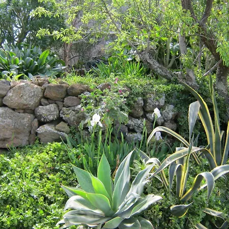 Bouganville-la Casa Dei Fiori *
