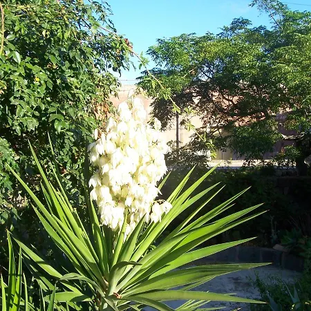 Bouganville-la Casa Dei Fiori